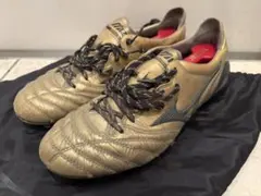 2026年最新】モレリアネオ2 ゴールドの人気アイテム - メルカリ