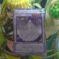 2026年最新】ガーデン・ローズ・メイデン 25thの人気アイテム - メルカリ