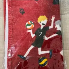 2026年最新】バレーボールタオルの人気アイテム - メルカリ