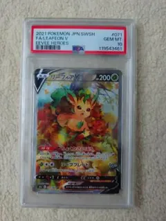2026年最新】リーフィアv sr psa10の人気アイテム - メルカリ