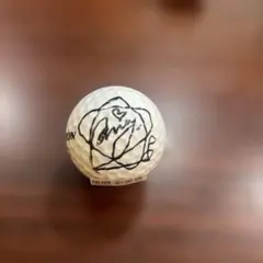 2026年最新】女子プロゴルファーサインボールの人気アイテム - メルカリ