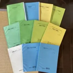 2026年最新】seg 化学の人気アイテム - メルカリ