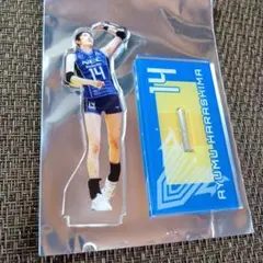 2026年最新】NECレッドロケッツ アクスタの人気アイテム - メルカリ