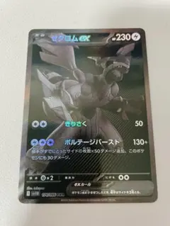 2026年最新】ブラックボルト ゼクロムex BWRの人気アイテム - メルカリ