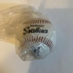 2026年最新】野村克也 サインボールの人気アイテム - メルカリ