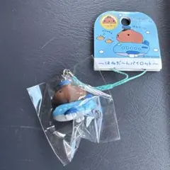 2026年最新】カピバラ ご当地の人気アイテム - メルカリ