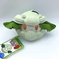 2026年最新】マイポケモンコレクションの人気アイテム - メルカリ