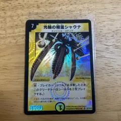 2026年最新】光輪の精霊シャウナの人気アイテム - メルカリ