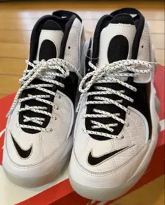 2026年最新】エアズームフライト95の人気アイテム - メルカリ