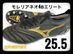 2026年最新】モレリアネオ4 25の人気アイテム - メルカリ