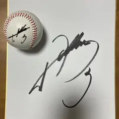 2026年最新】山川穂高 サイン色紙の人気アイテム - メルカリ