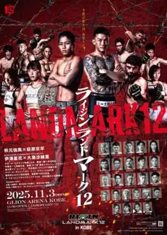 2026年最新】rizin サインポスターの人気アイテム - メルカリ