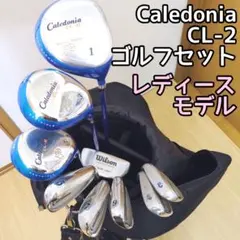2026年最新】Caledonia cl-の人気アイテム - メルカリ