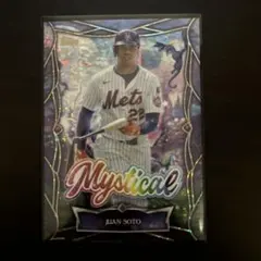 2026年最新】ファン・ソトの人気アイテム - メルカリ