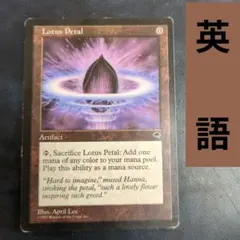 2026年最新】水蓮の花びらの人気アイテム - メルカリ