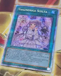 2026年最新】ヴァルモニカ・シェルタ 25thの人気アイテム - メルカリ