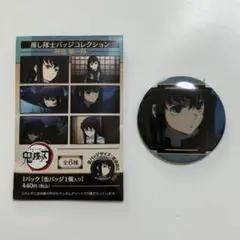 2026年最新】鬼滅の刃 推し隊士バッジコレクション/時透 無一郎の人気