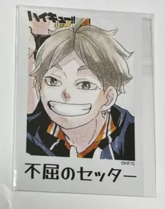 2026年最新】烏野羽クッキーの人気アイテム - メルカリ