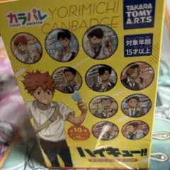 2026年最新】ハイキュー カラパレ より道の人気アイテム - メルカリ