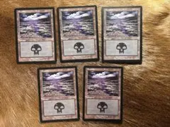 2026年最新】ユーロランド mtgの人気アイテム - メルカリ