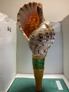 2026年最新】法螺貝笛の人気アイテム - メルカリ