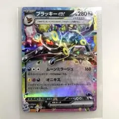 2026年最新】テラスタルフェスex ブラッキー ノーマルの人気アイテム