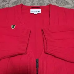 2026年最新】vainl archive ラコステの人気アイテム - メルカリ