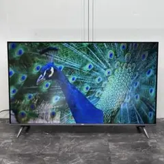 2026年最新】TCL 43P618 43V型 4Kの人気アイテム - メルカリ