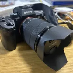 2026年最新】sony α7ii レンズキットの人気アイテム - メルカリ