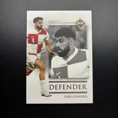 2026年最新】ラファエルレオン カードの人気アイテム - メルカリ