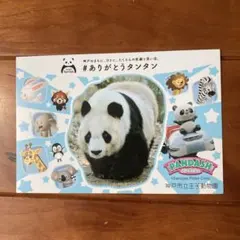 2026年最新】タンタン パンダの人気アイテム - メルカリ