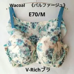 2026年最新】ワコールパルファージュVリッチブラの人気アイテム - メルカリ