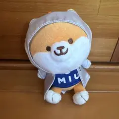 2026年最新】ポリまる ぬいぐるみの人気アイテム - メルカリ