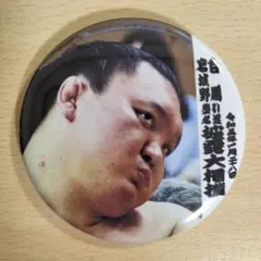 2026年最新】白鵬断髪式の人気アイテム - メルカリ