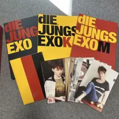 2026年最新】die jungsの人気アイテム - メルカリ