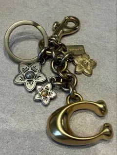 2026年最新】コーチ ティーローズ キーホルダーの人気アイテム - メルカリ