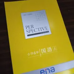 2026年最新】ena パースペクティブの人気アイテム - メルカリ