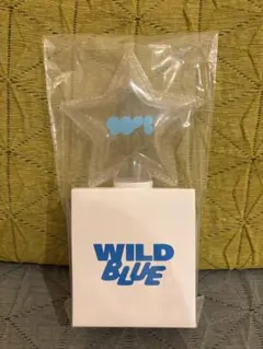2026年最新】WILD blue ペンライトの人気アイテム - メルカリ