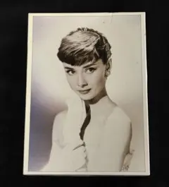 2026年最新】オードリーヘップバーン パズルの人気アイテム - メルカリ