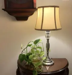 2026年最新】ローラアシュレイ シェードの人気アイテム - メルカリ