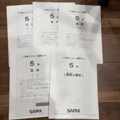 2026年最新】サピックス 5年 マンスリー確認テストの人気アイテム