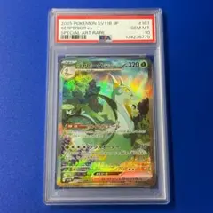 2026年最新】ジャローダ psa10の人気アイテム - メルカリ