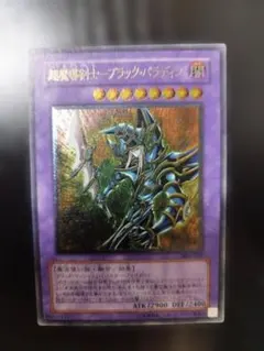 2026年最新】ブラックパラディン レリーフの人気アイテム - メルカリ