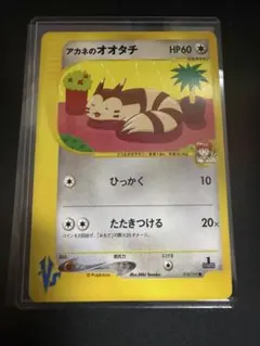 m94107717217_1.jpg?1768329510