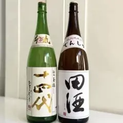 2026年最新】十四代本丸の人気アイテム - メルカリ