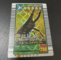 2026年最新】ヘルクレスオオカブト 2007の人気アイテム - メルカリ