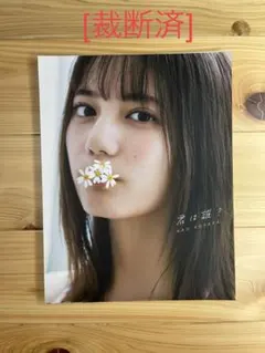 2026年最新】小坂菜緒 写真集の人気アイテム - メルカリ