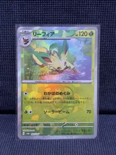 2026年最新】リーフィア マスターボールミラーの人気アイテム - メルカリ