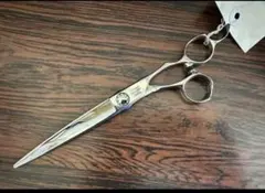 2026年最新】ミズタニシザーの人気アイテム - メルカリ