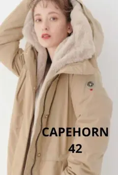 2026年最新】ケープホーン ダウン 42の人気アイテム - メルカリ